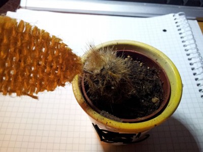 k-20120227_200826.jpg
