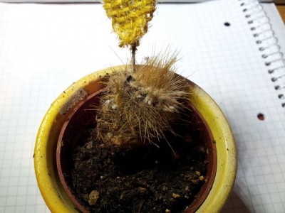 k-20120227_200818.jpg