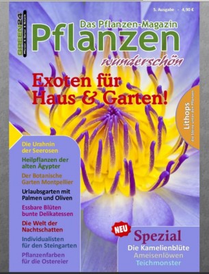 Magazin_deckblatt.JPG