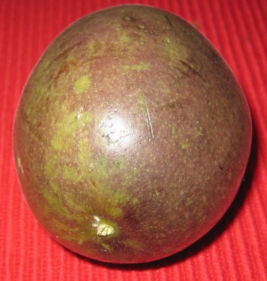 Bild green24 3 547.jpg