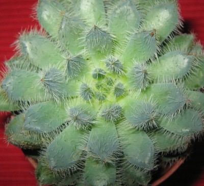 Bild green24 3 553.jpg