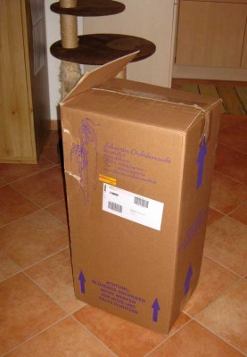 Orchideenpaket_0228.jpg