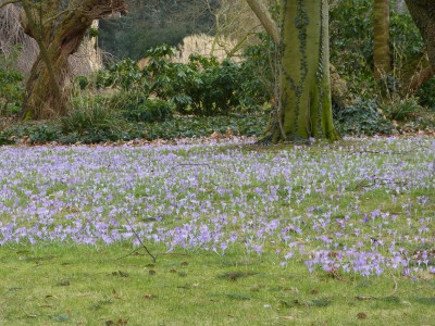 P1010633 verkleinert.jpg