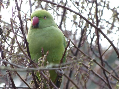 P1010589 verkleinert.jpg