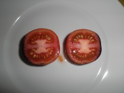tomate 2.jpg