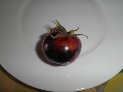 tomate.jpg