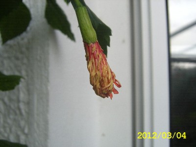 SA500175.JPG