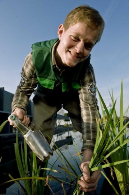 botanischen Namen der Pflanzen -2681.jpg