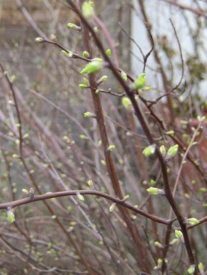 Bild green24 3 574.jpg