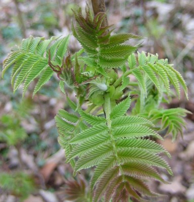 Bild green24 3 575.jpg