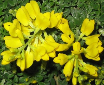 Bild green24 3 585.jpg