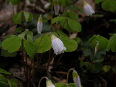 dscn0219.jpg