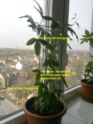 09032012090_1.JPG