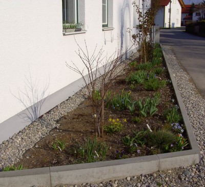 StraßenbeetMitRosenbogen9979.jpg