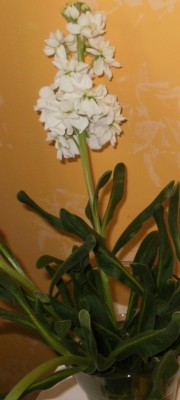P2240001.JPG