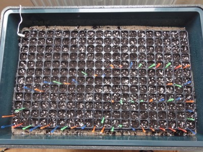 Propagator.JPG