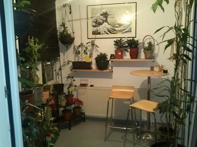 Wintergarten zentral.jpg