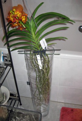 Vase_0468.jpg