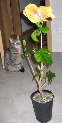 Oliver_0464.jpg