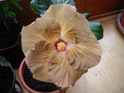 IMGP2700.JPG