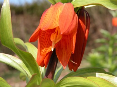 dscn7546.jpg