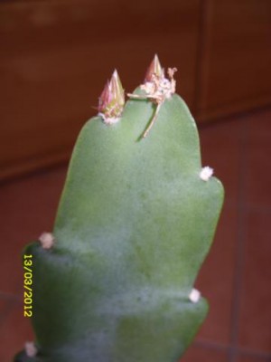 Photo2.jpg