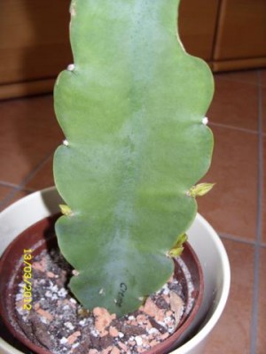 Photo1.jpg
