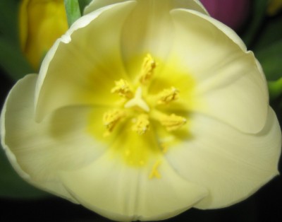 Bild green24 3 591.jpg