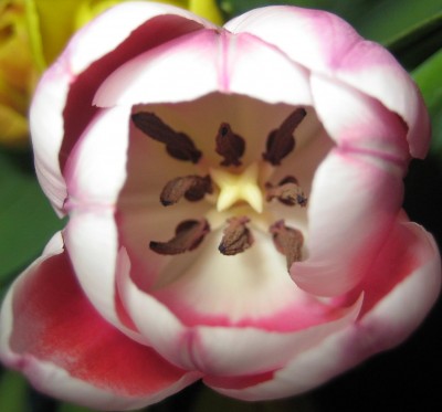 Bild green24 3 597.jpg