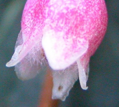 12-03-13-raetsel.JPG