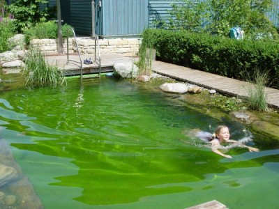 Schwimmteich_2687.jpg