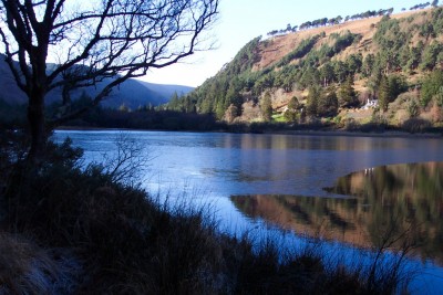 Jan2009.jpg