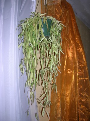 DSCN1861.JPG