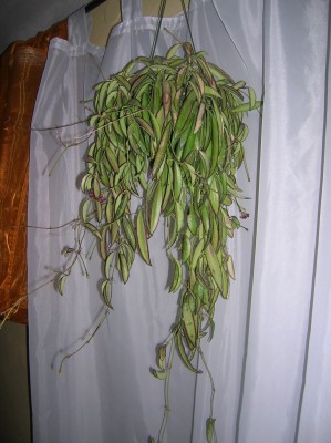 DSCN1860.JPG