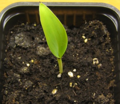 Bild green24 3 624.jpg