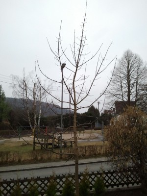 2012-03-14 07.00.24_klein.jpg