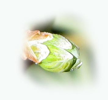 Märzrätsel_1_0510.jpg