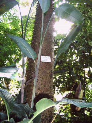 kllllf 007.jpg