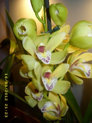 9c2b14bd.xl.jpg