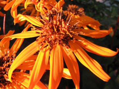 IMG_1872.JPG