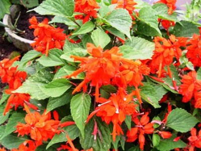 PICT0428.JPG