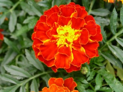 PICT0429.JPG