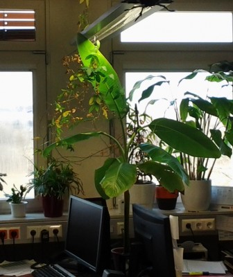 musa büro.jpg