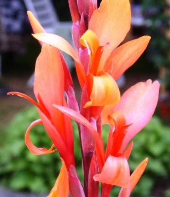 PICT0437.JPG