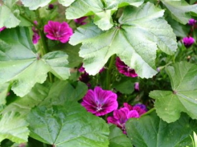 PICT0439.JPG