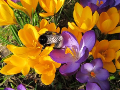 18.03.12 012.JPG