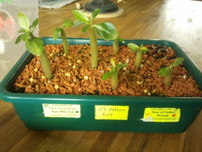 2012-03-18 11.44.56-s.jpg