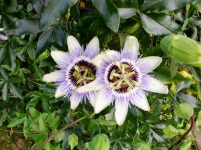 PICT0420.JPG