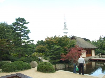 DSCF0133.JPG
