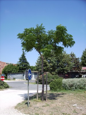 PICT0344.jpg